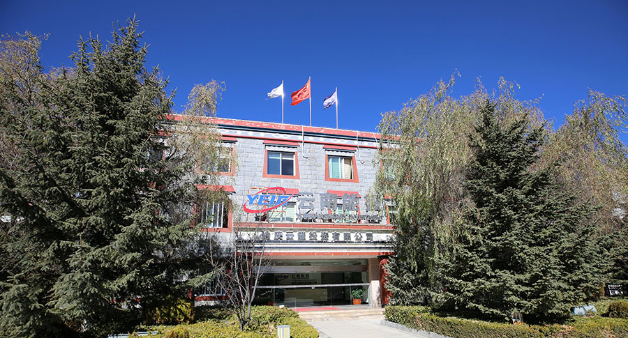 黨建融入經(jīng)營，提高工作效能-云南能投居正產(chǎn)業(yè)投資有限公司