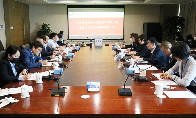 云南能投居正產(chǎn)業(yè)投資有限公司總支部委員會召開換屆選舉黨員大會-云南能投居正產(chǎn)業(yè)投資有限公司