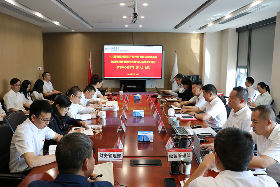 居正公司舉辦黨紀(jì)學(xué)習(xí)教育讀書班暨2024年第3次理論學(xué)習(xí)中心組（擴(kuò)大）學(xué)習(xí)會(huì)議-云南能投居正產(chǎn)業(yè)投資有限公司